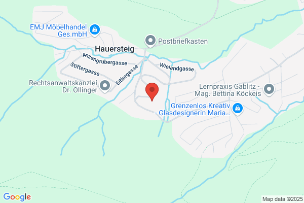 Mag. Gerhard Pichler Wirtschaftspruefung und Steuerberatung GmbH
