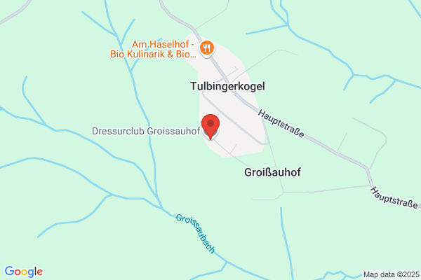Dressurclub Groissauhof