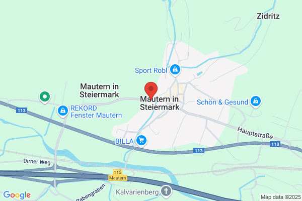 Gerhard Maier