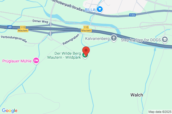Gasthaus Wildpark
