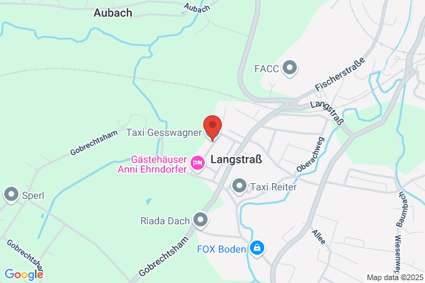 Taxi Gesswagner