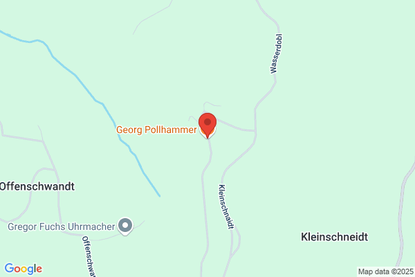 Georg Pollhammer
