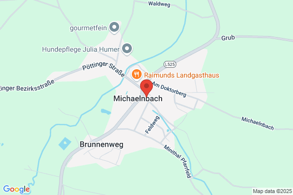 Gasthaus Wirt i d Pfleg