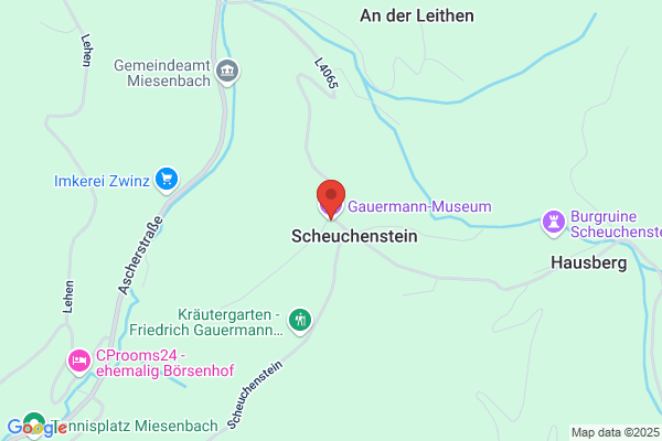 Gauermann Museum