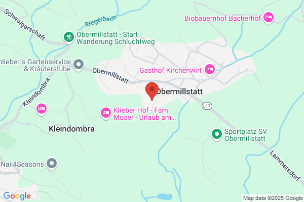Schmetterlingsgruppe - Kindergruppe Millstatt