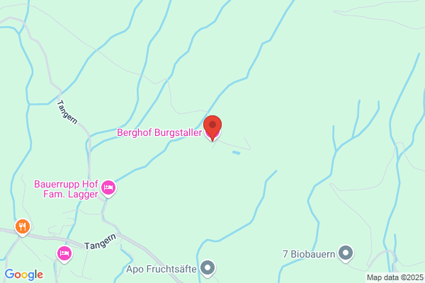 Fremdenpension Burgstaller