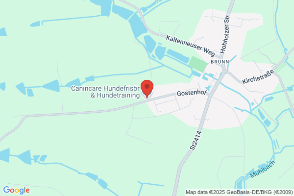 Kalte Schnauze - Der Hundesalon