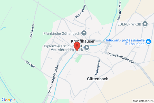 Seniorenpension Güttenbach