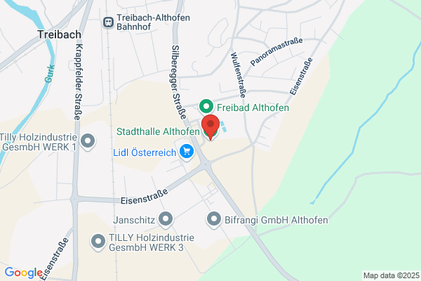 1. EHC Treibach-Althofen Lothar Stelzer