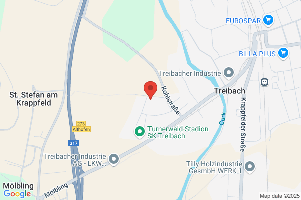 Gemeinnuetzige Treibacher SiedlungsgesmbH
