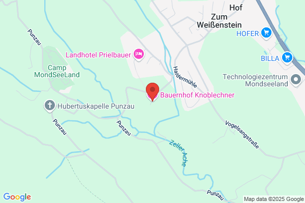 Ferienhof Lechner Fam Poeckl