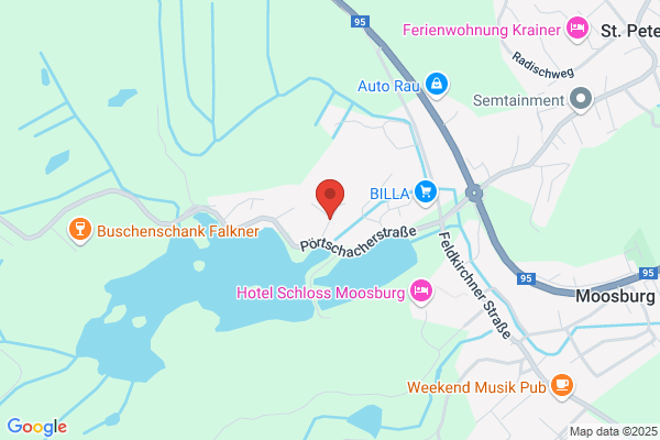 Haus Wildente Anton Sorger