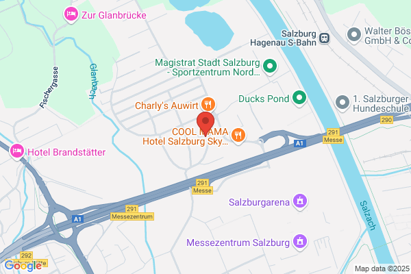 BUSINESS CAR RENTAL und TRADING GES.M.B.H.