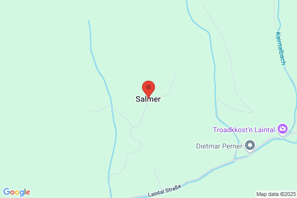 Anton Salmer