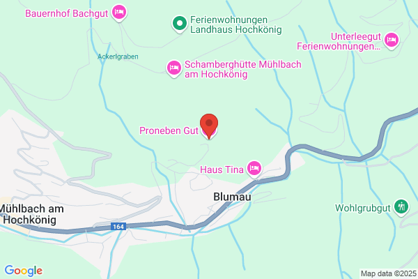 Pronebengut Proneben