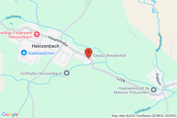 Reit- und Zuchthof Weidenthal