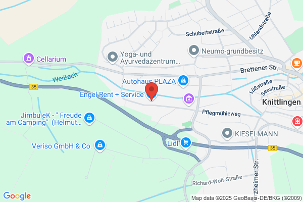 E.L.S. Engel Logistik Service GesmbH