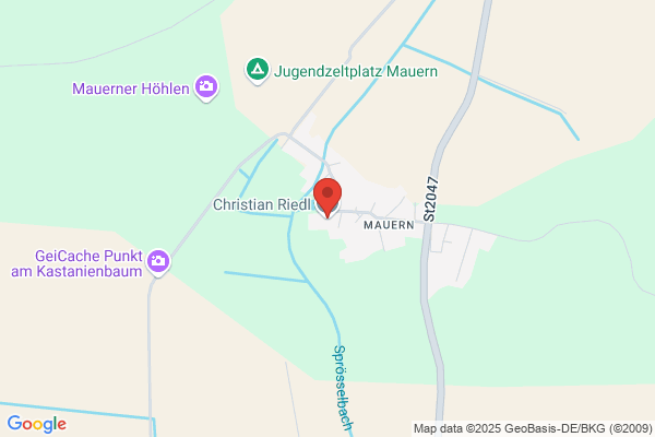 Walter Riedl