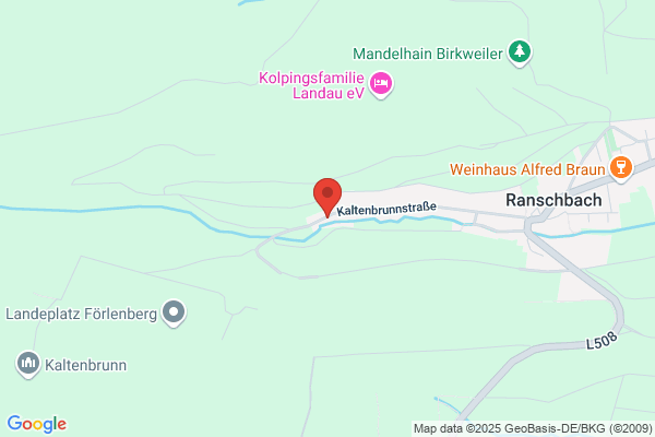 Freinschlag Guenther