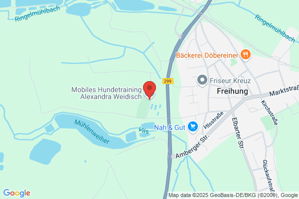 Mobiles training für hund und mensch
