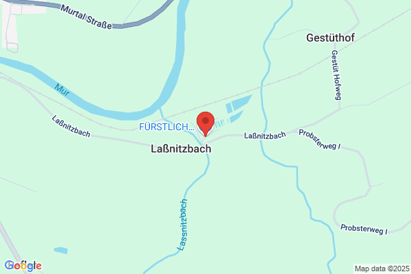 Schwarzenberg'sche Forstdirektion Fischzucht Lassnitzbach
