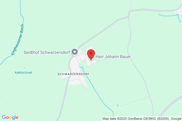 Johann Bauer