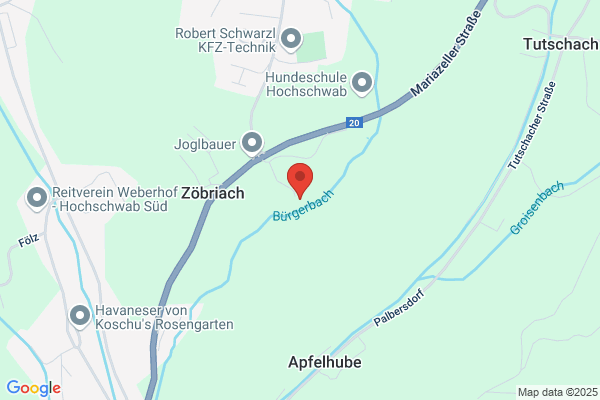 Reitverein Hohenwang - Holzer- Zink