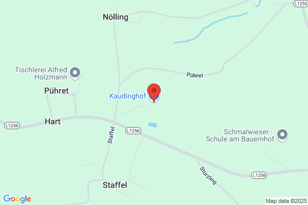 Feichtinger Marianne u Rudolf