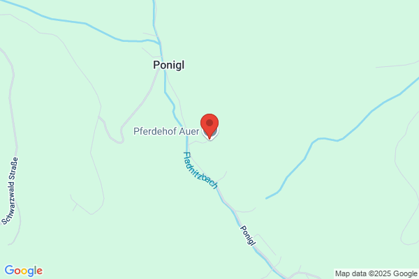Peter Auer