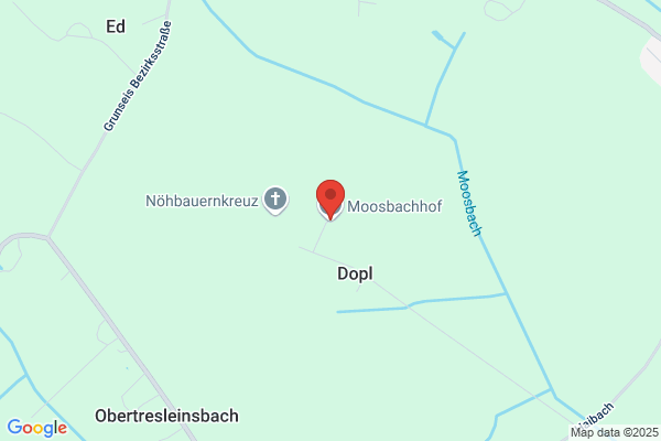 Moosbachhof Gestuet-Pferdezucht