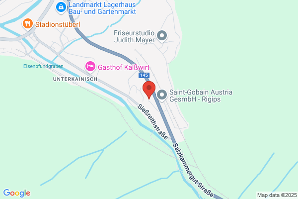 Ausseer Fische Wagner