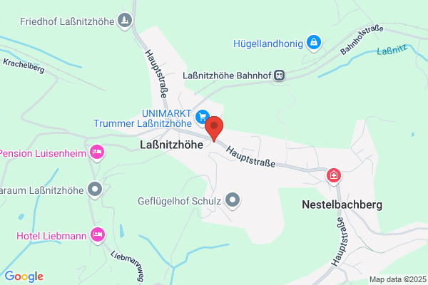 Schmidt Elisabeth