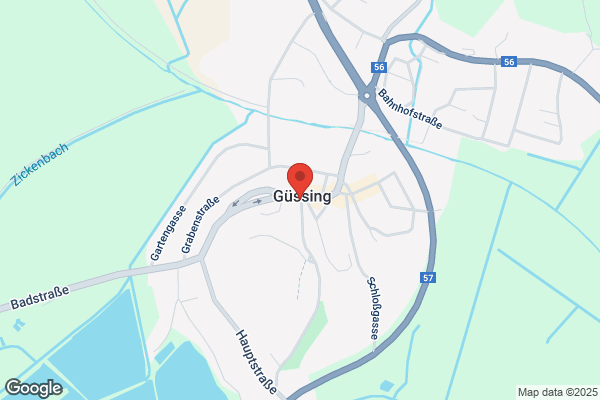 Georg Stipsits