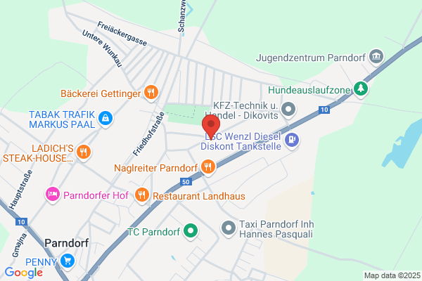 TCO Consulting Dora Staudinger