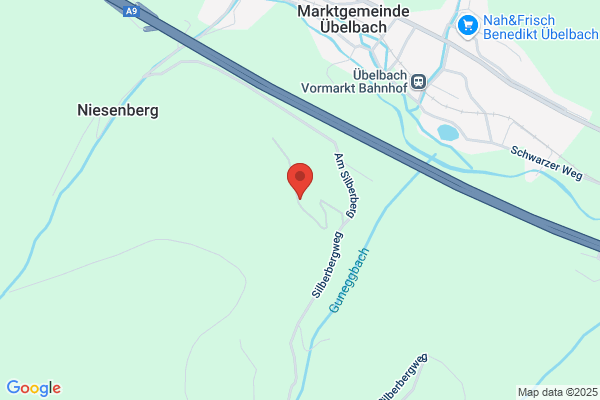 Vinzenz Windisch