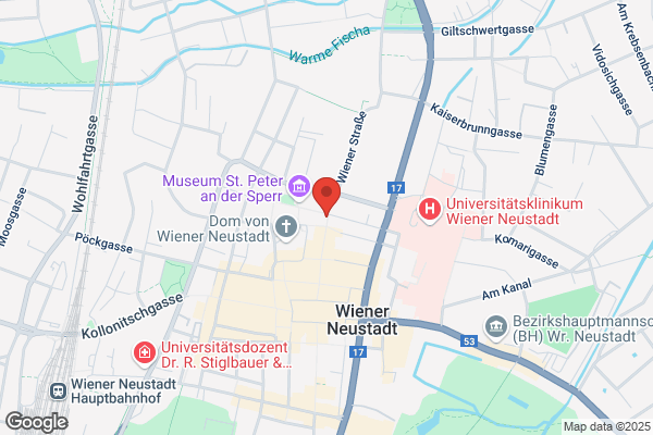 Oberbank Wr. Neustadt