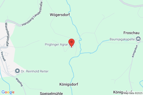Karl Priglinger