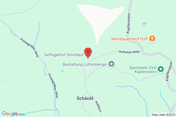 Franz Schoellauf