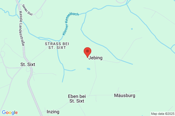 Malerei Wolfgang Steininger