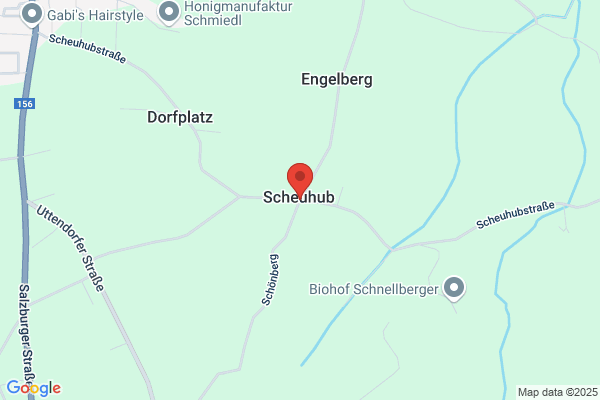 Starlinger OEG