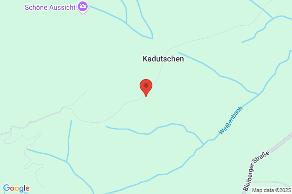 Schützelhofer Holzschlägerung - Gartenservice