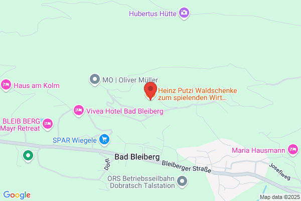 Heinz Mitterer