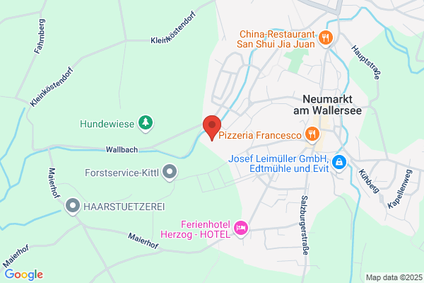 Sportverein TSV Neumarkt