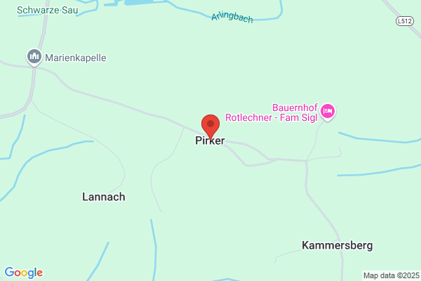 Otto Pirker