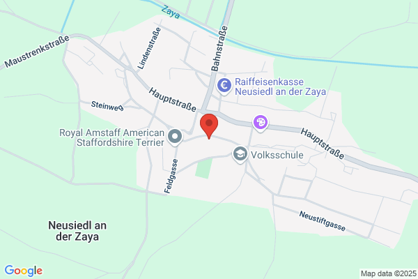 Hauptschule