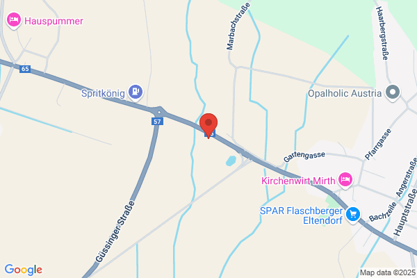 Dr. Guenter Horst TA