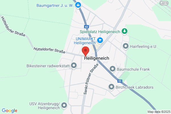 Dr. Friedrich Riedl-Riedenstei