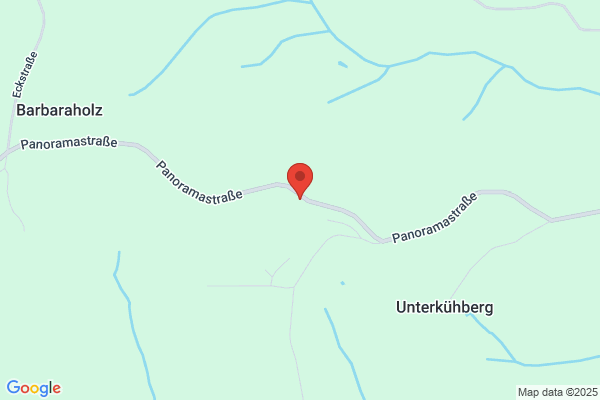 Ing. Friedrich Schmoelz jr.