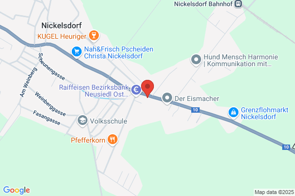 Expert Nitschinger