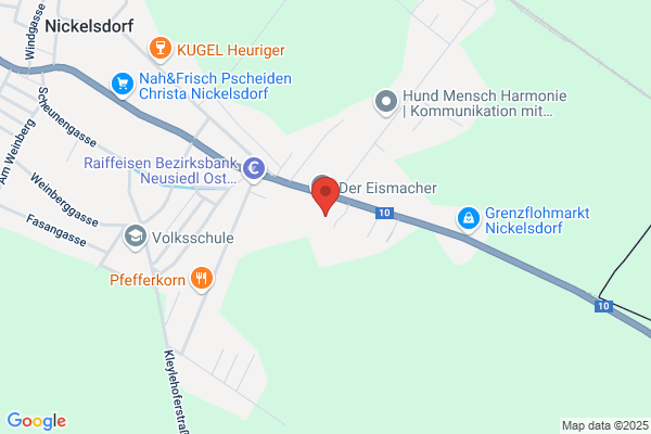 Dipl. Ing. Walter Wendelin Gesellschaft m.b.H.